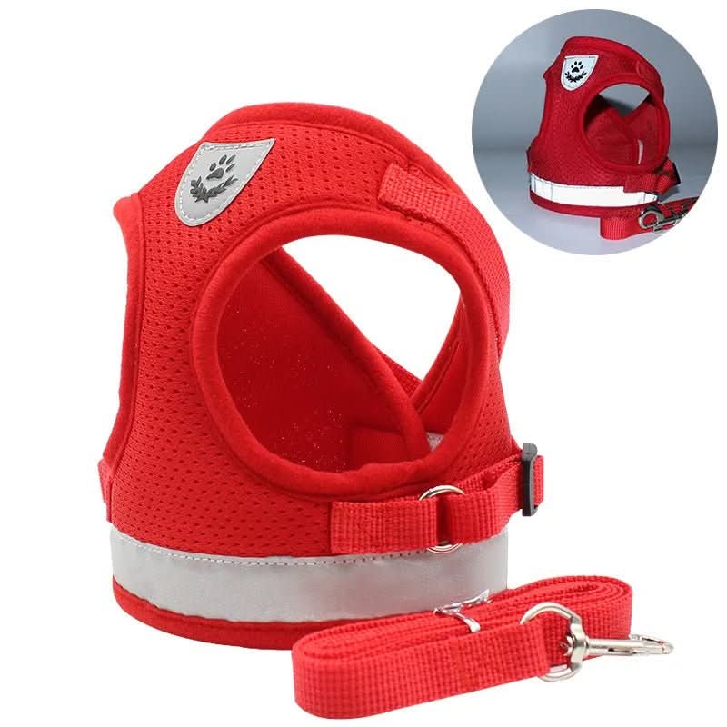 WANDERPAW Escape-proof Cat Harness lifestyle image 2