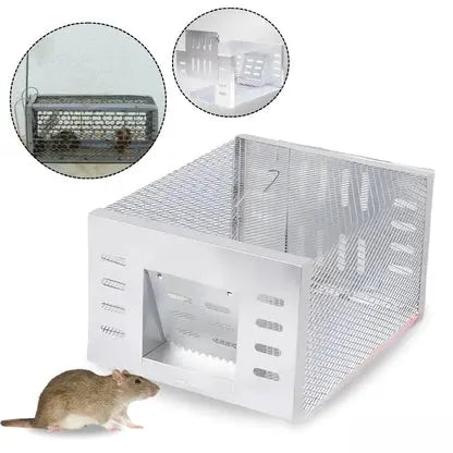 Automatic Mouse Trap