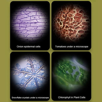 ExplorerLens Portable Microscope