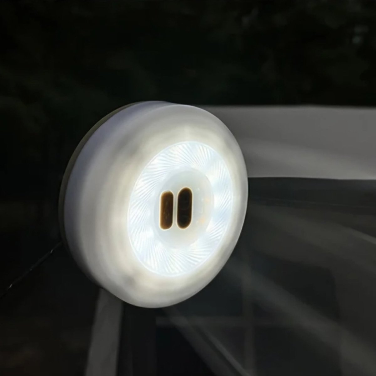 RADIORA Multifunctional LED Outdoor Lamp