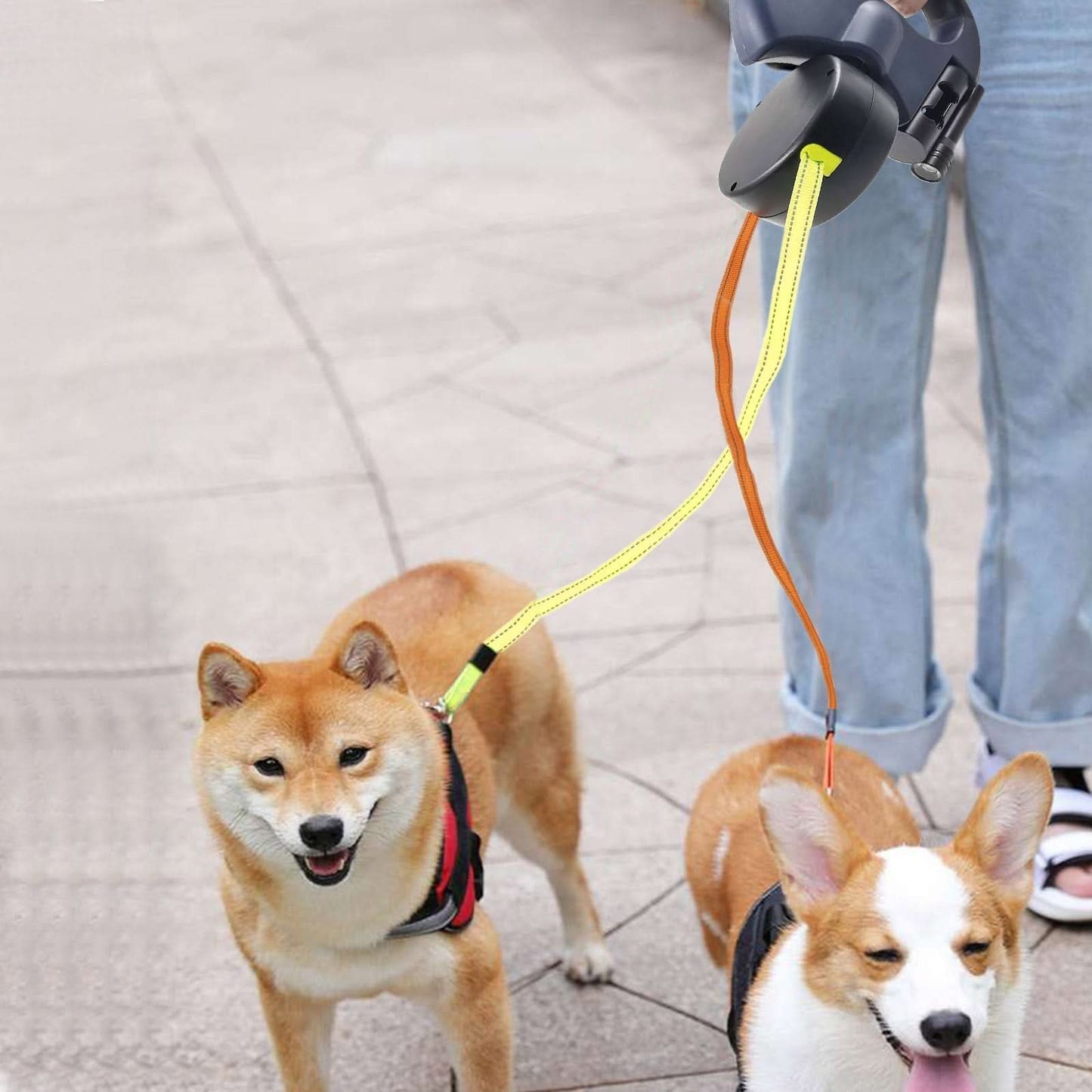 PROPET DUO Rolling Lead for Two Dogs