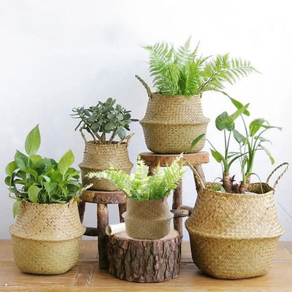 TerraNest Hand-woven Basket