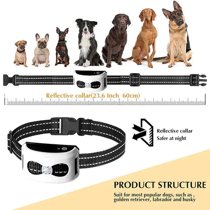 2-in-1 Wireless Dog Fence & Training Collar, Waterproof, Rechargeable