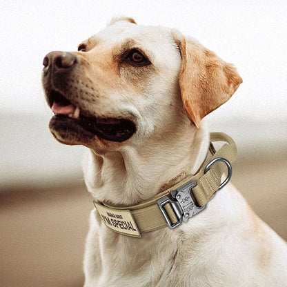 TACTICALK9 DOG COLLAR SET Durable