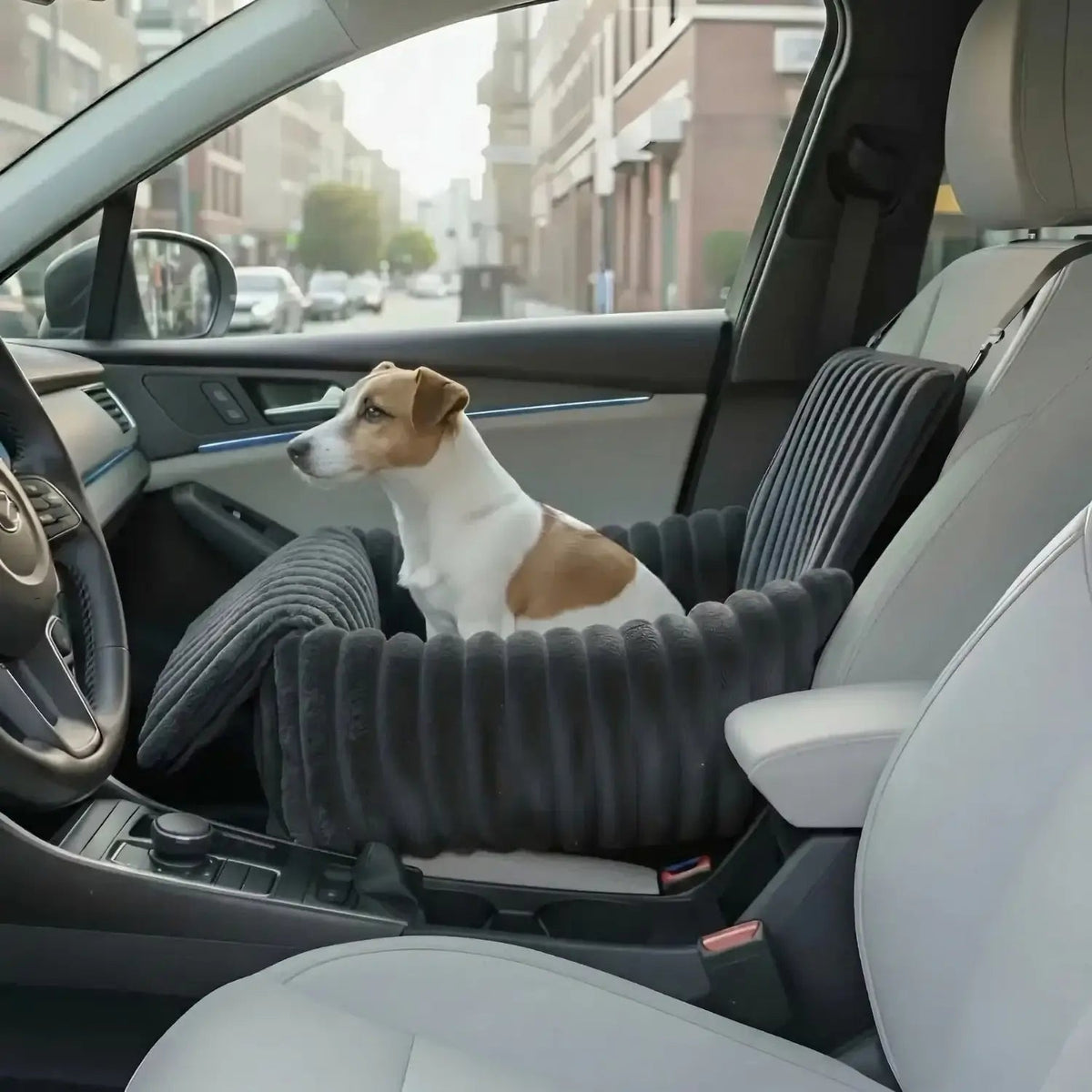 Dog Car Seat, Elevated Pet Booster Seat for Safe Car Travel with Small Dogs