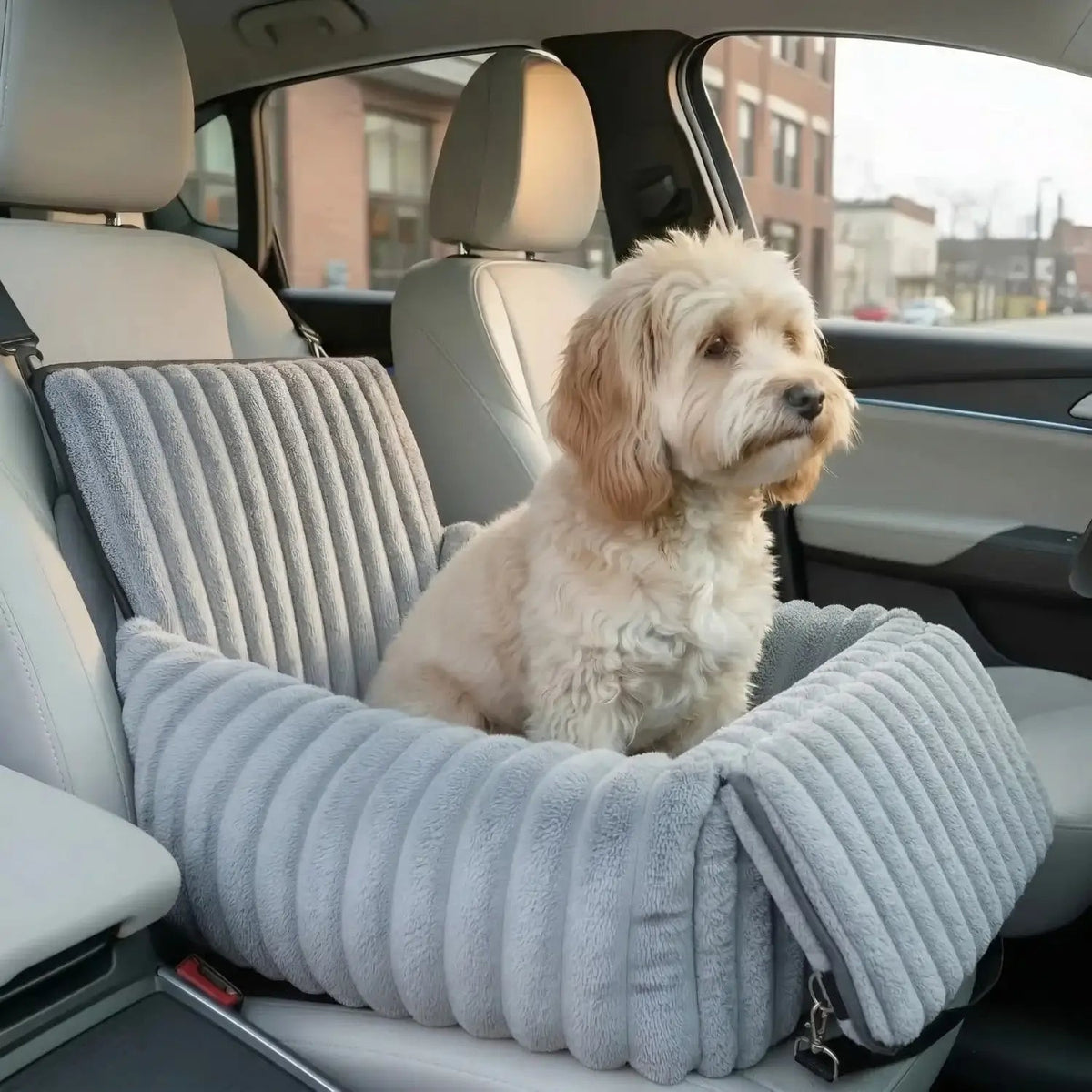Dog Car Seat, Elevated Pet Booster Seat for Safe Car Travel with Small Dogs