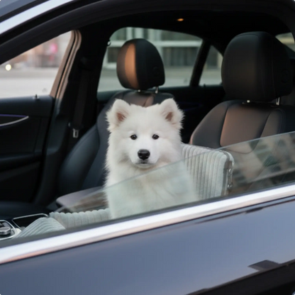 Dog Car Seat, Elevated Pet Booster Seat for Safe Car Travel with Small Dogs