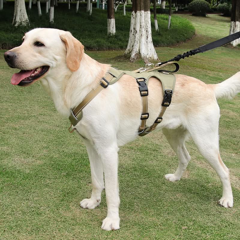 NOPULL DOG HARNESS Reflective