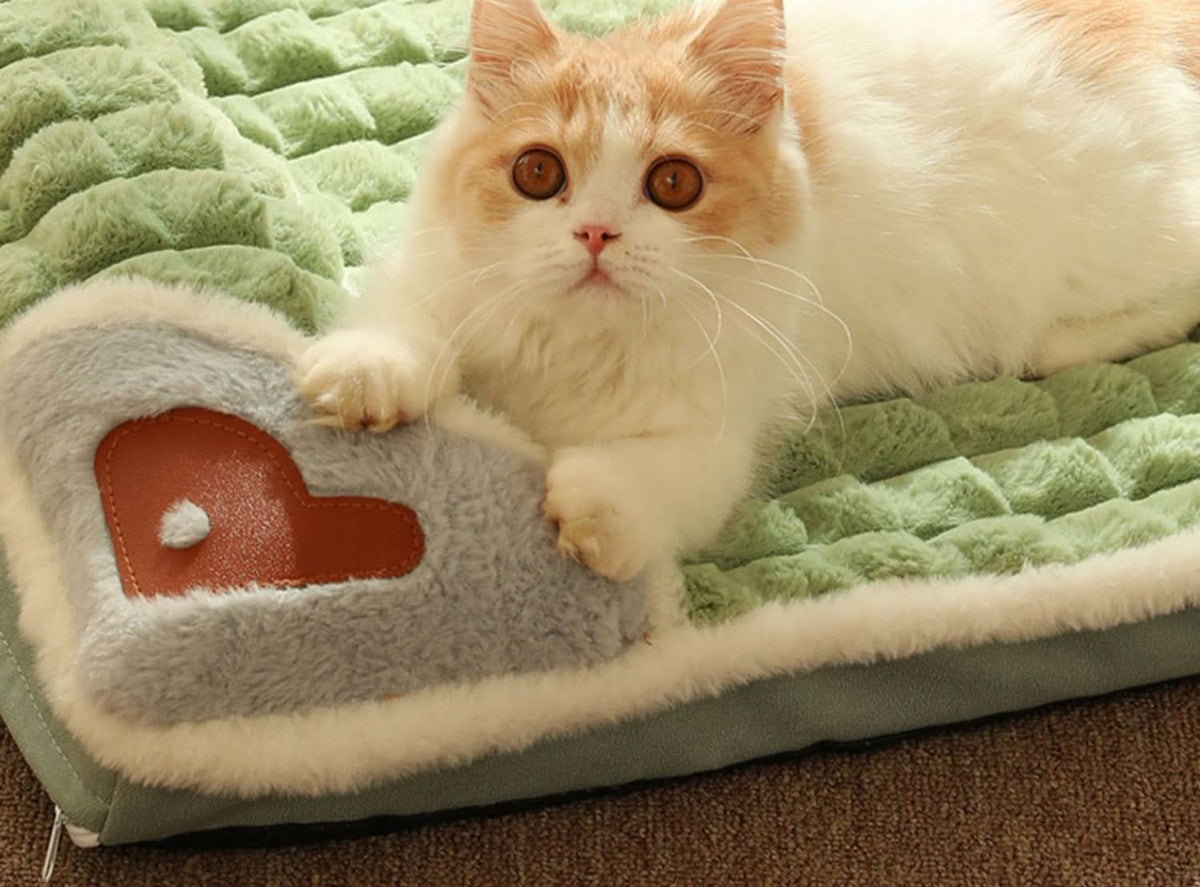 LUXEPLUSH Soft Dog Bed