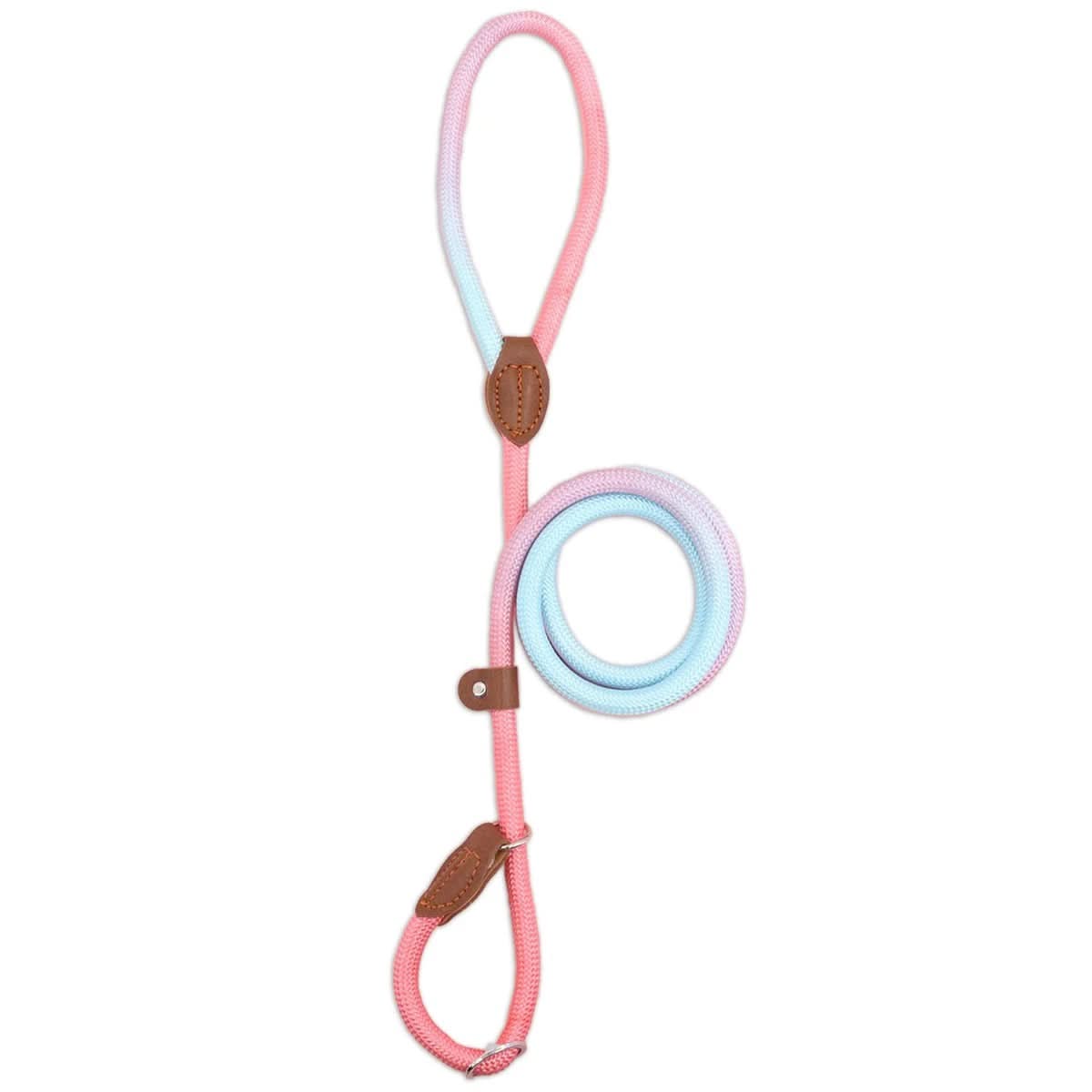 COLORLEASH Colorful Dog Leash lifestyle image 2