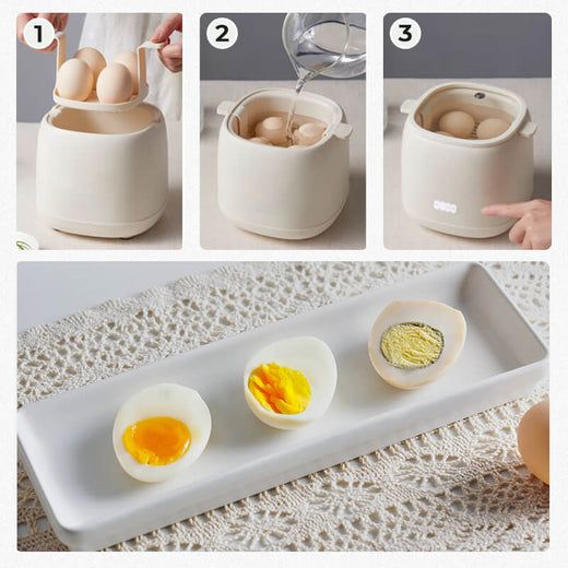 Egg Cooker, Electric Egg Boiler for Soft, Medium & Hard Boiled Eggs with Auto Shutdown, 4 Egg Capacity