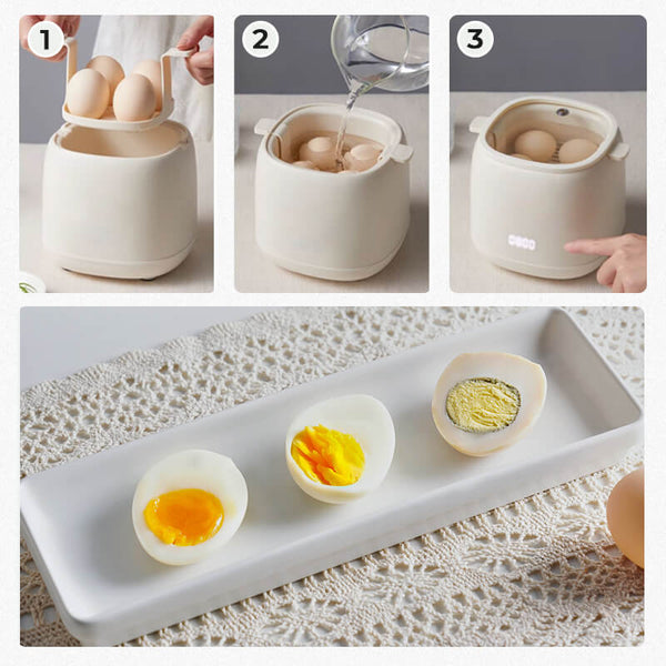 Egg Cooker, Electric Egg Boiler for Soft, Medium & Hard Boiled Eggs with Auto Shutdown, 4 Egg Capacity