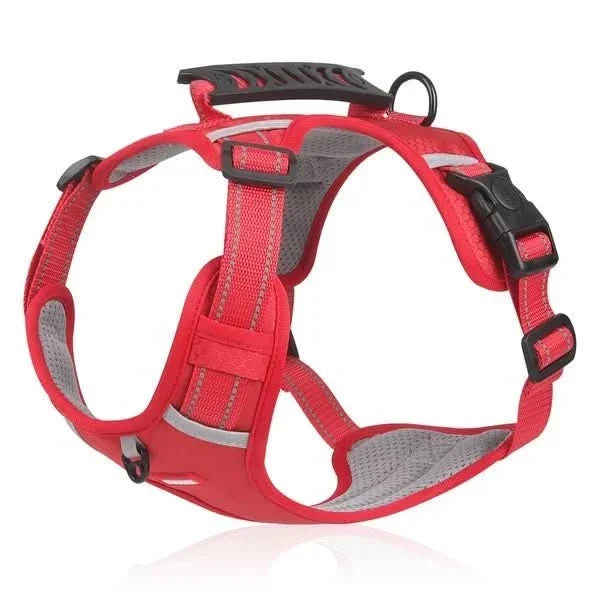 WalkEase Harness lifestyle image 3