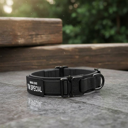 TACTICALK9 DOG COLLAR SET Durable