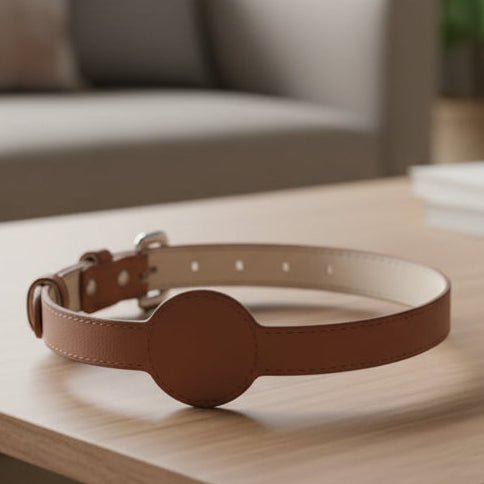 TAGSAFE Dog Collar lifestyle image 1