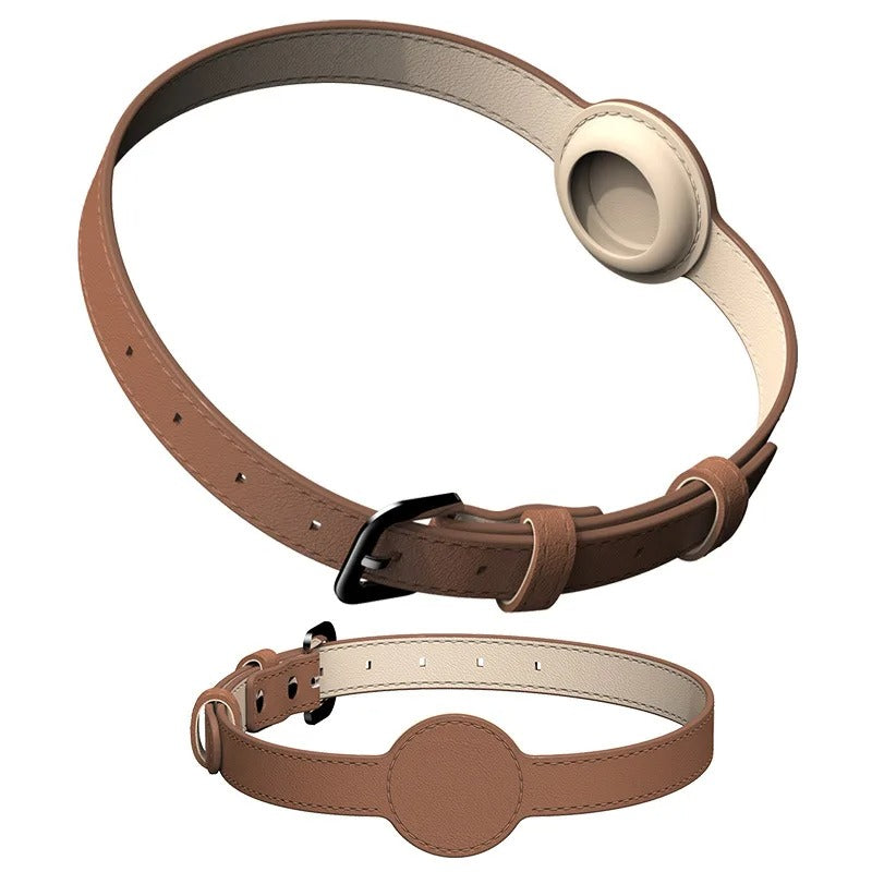 TAGSAFE Dog Collar lifestyle image 2