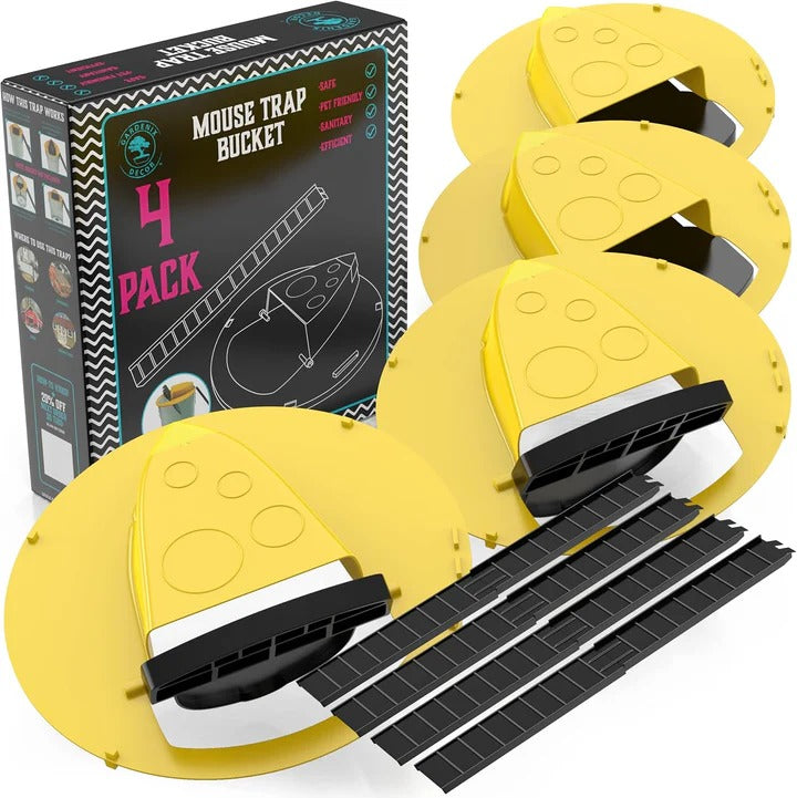 Humane Mouse Trap