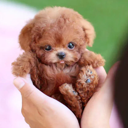 Robot Puppy Toy, Smart Interactive Plush Puppy Gift for Kids & Seniors