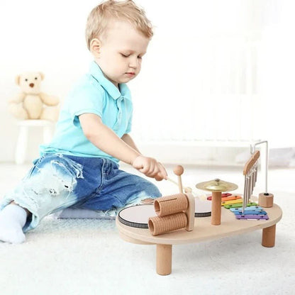 MELODINY SET Musical Wooden Toy
