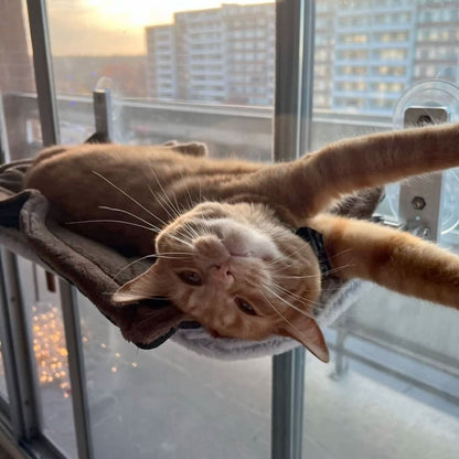 Pawperch Foldable Cat Hammock