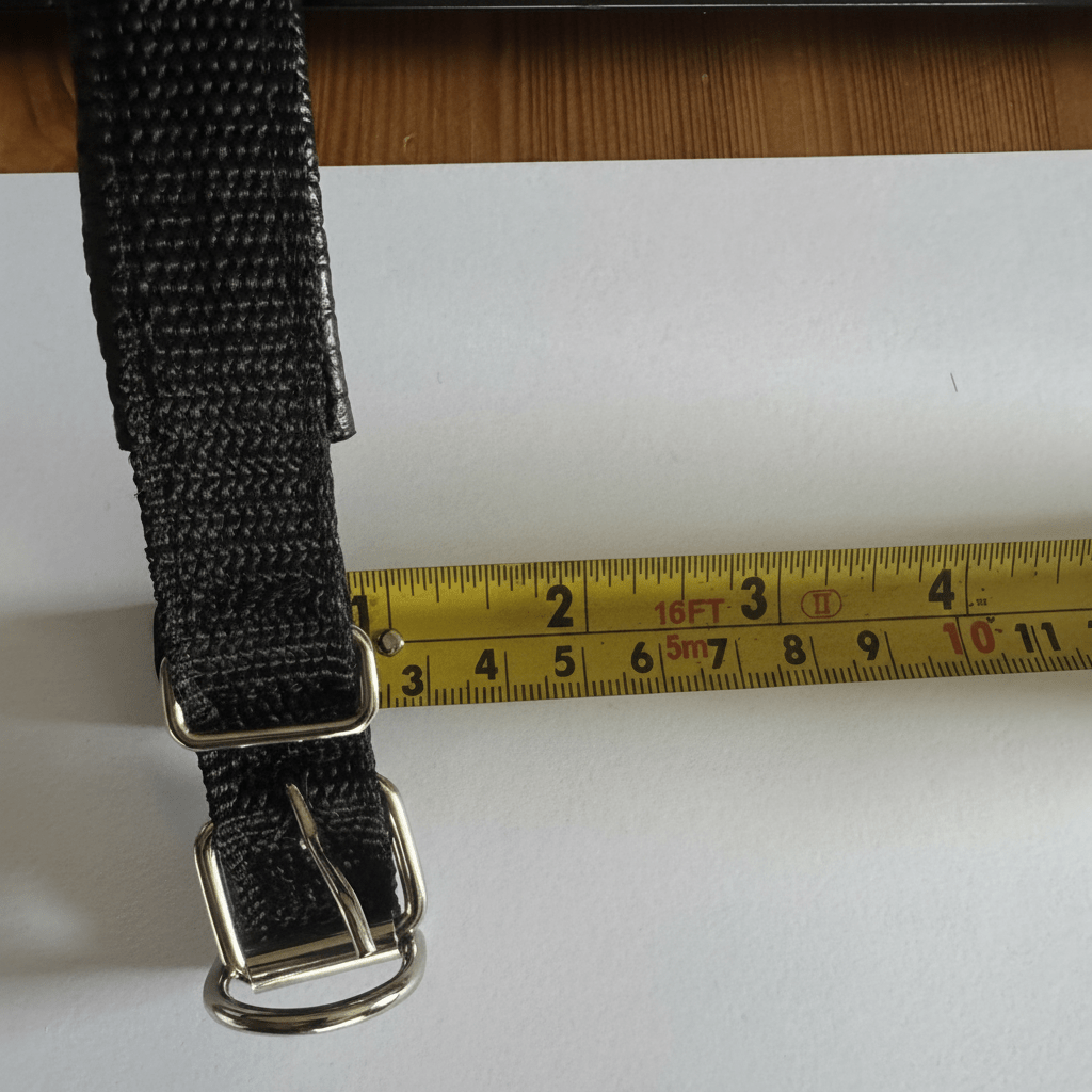 CAT GPS Tracker Real-time