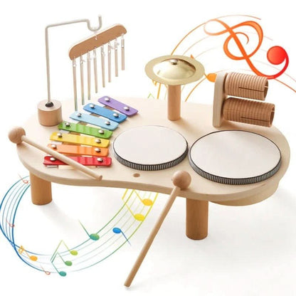 MELODINY SET Musical Wooden Toy
