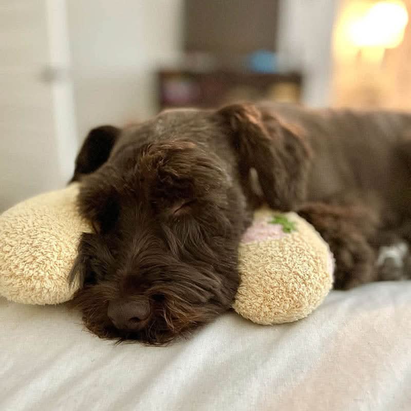 Petease Luxury Orthopaedic Dog Cushion Against Stress