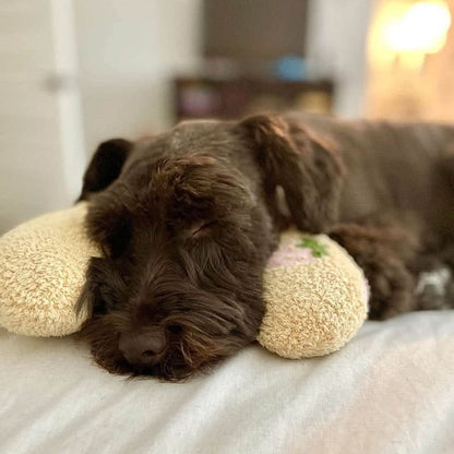 Petease Luxury Orthopaedic Dog Cushion Against Stress