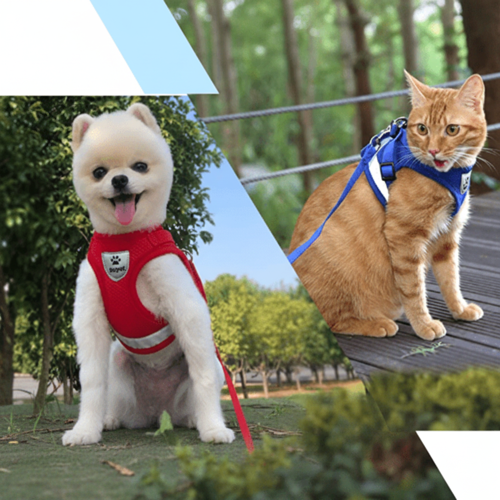 WANDERPAW Escape-proof Cat Harness