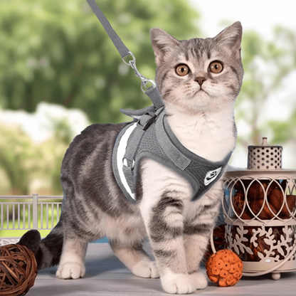 WANDERPAW Escape-proof Cat Harness