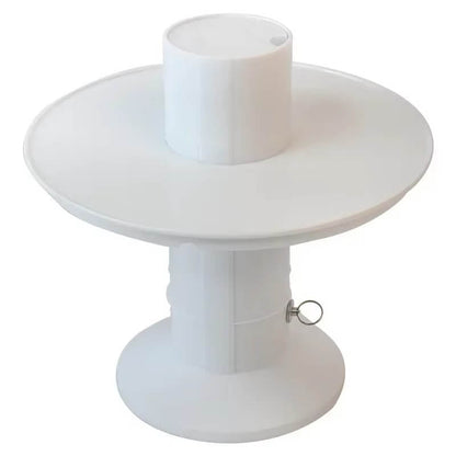 Surprise Reveal Cake Stand