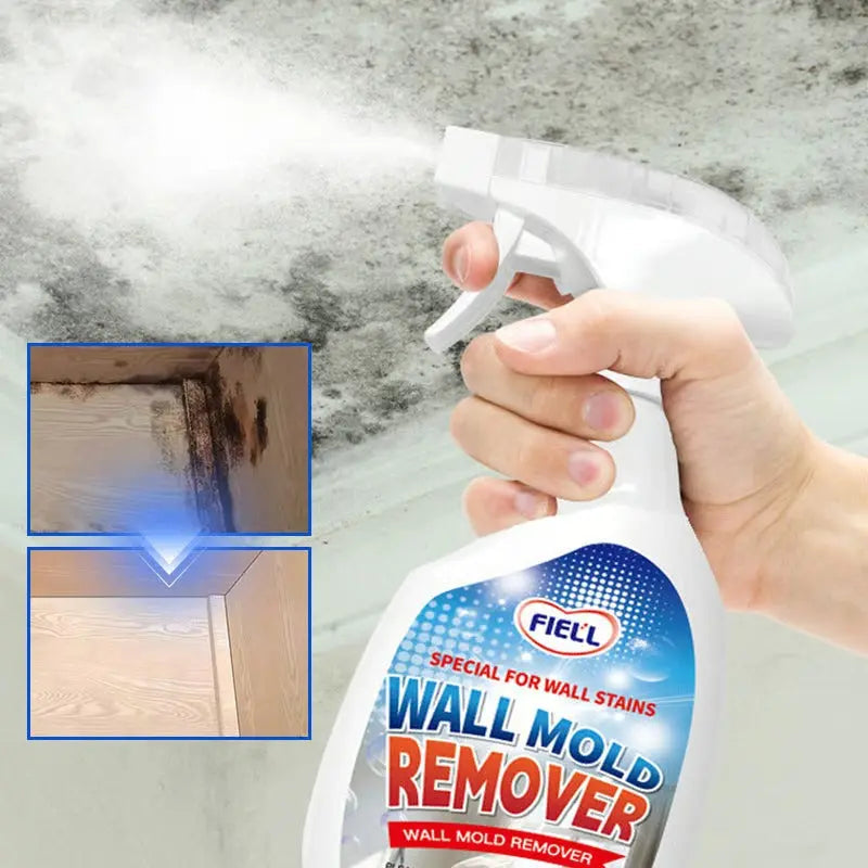 Mold Remover Spray