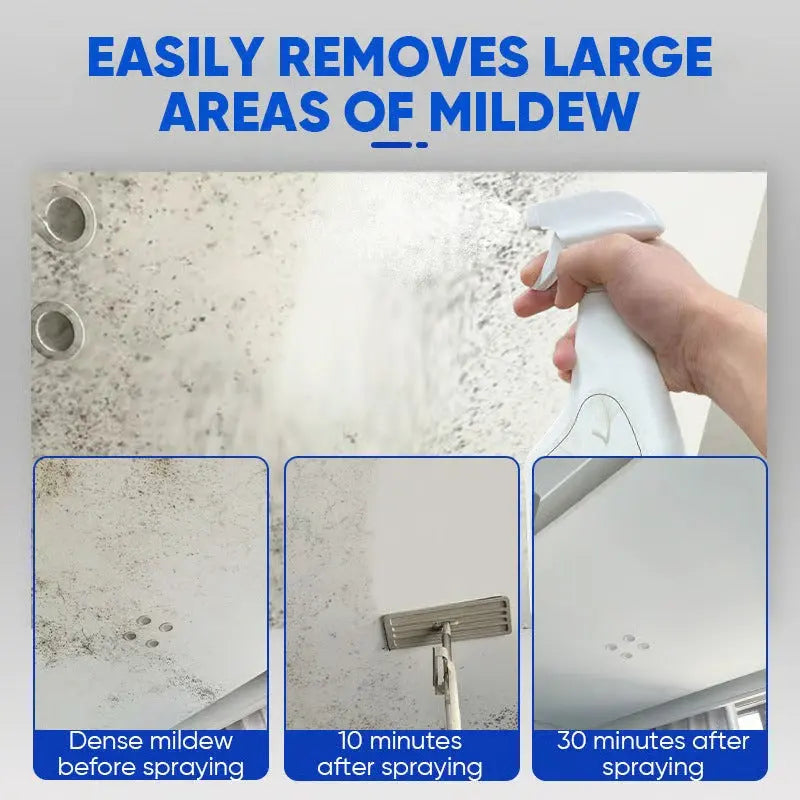 Mold Remover Spray, Anti-Mold Cleaner for Walls, Wallpaper, Grout, Wood & Bathrooms, 240 ml