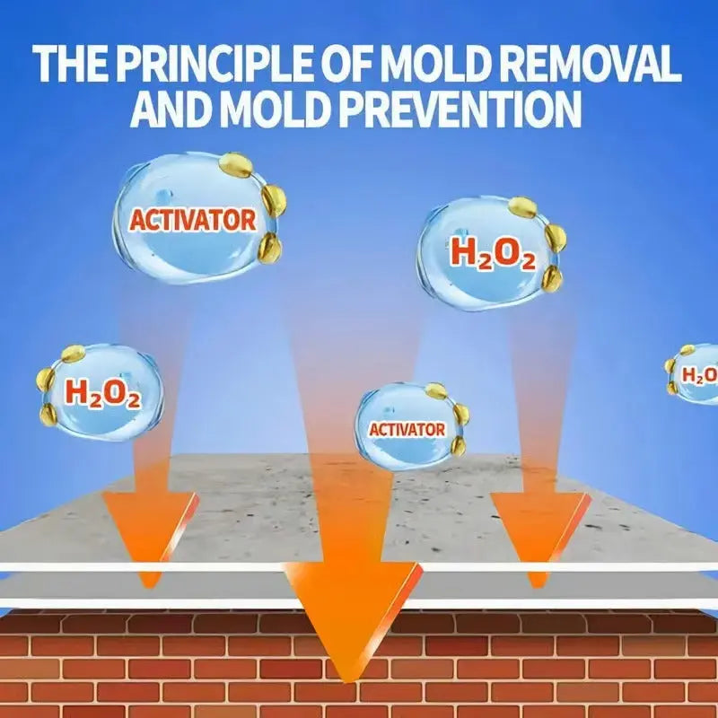 Mold Remover Spray – photo 3