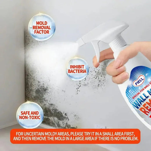 Mold Remover Spray, Anti-Mold Cleaner for Walls, Wallpaper, Grout, Wood & Bathrooms, 240 ml
