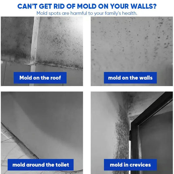 Mold Remover Spray, Anti-Mold Cleaner for Walls, Wallpaper, Grout, Wood & Bathrooms, 240 ml