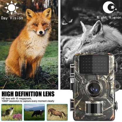 Night Vision Trail Camera – photo 9
