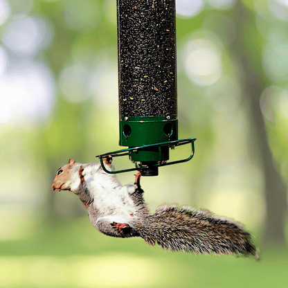 WILDFEED Outdoor Bird Feeder