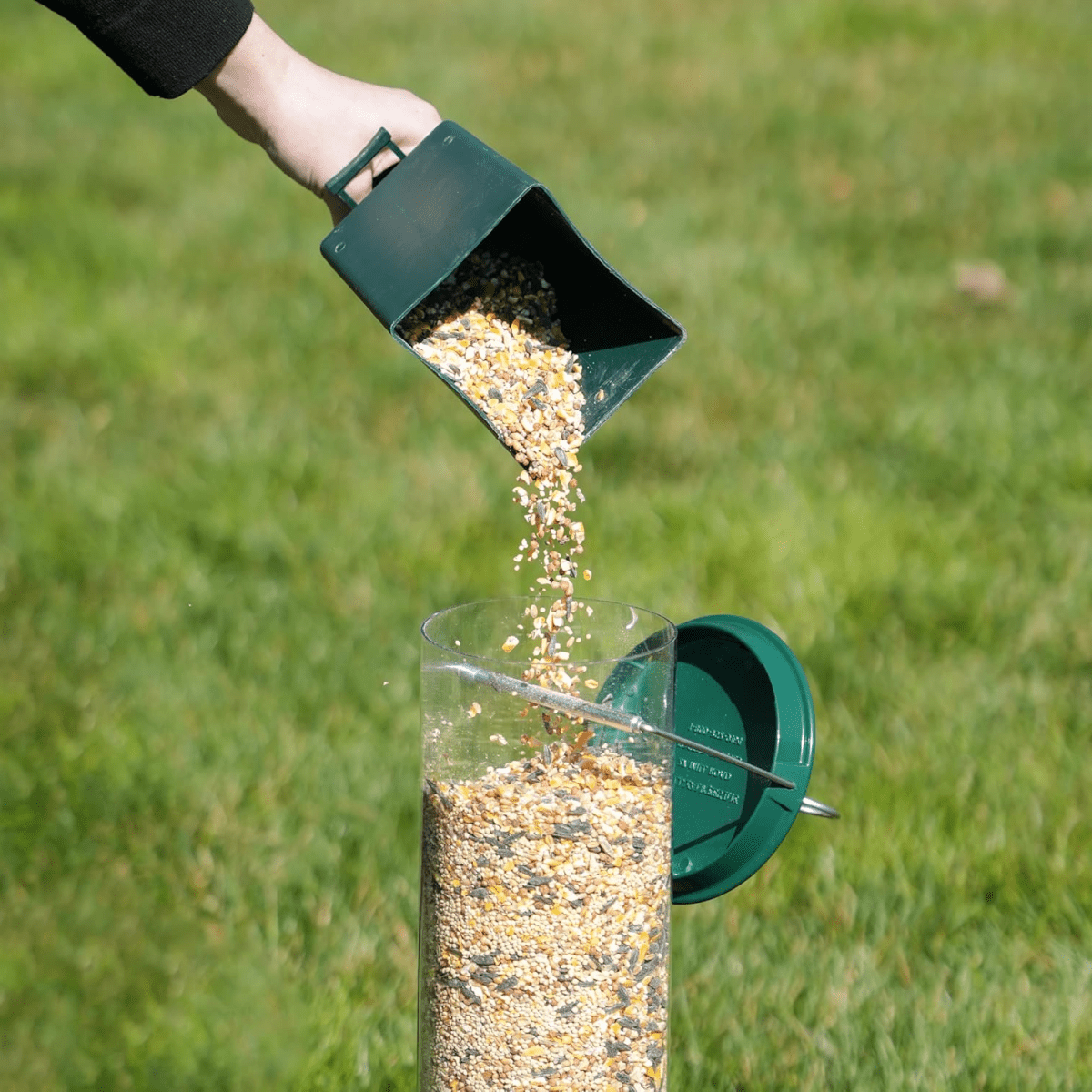 WILDFEED Outdoor Bird Feeder