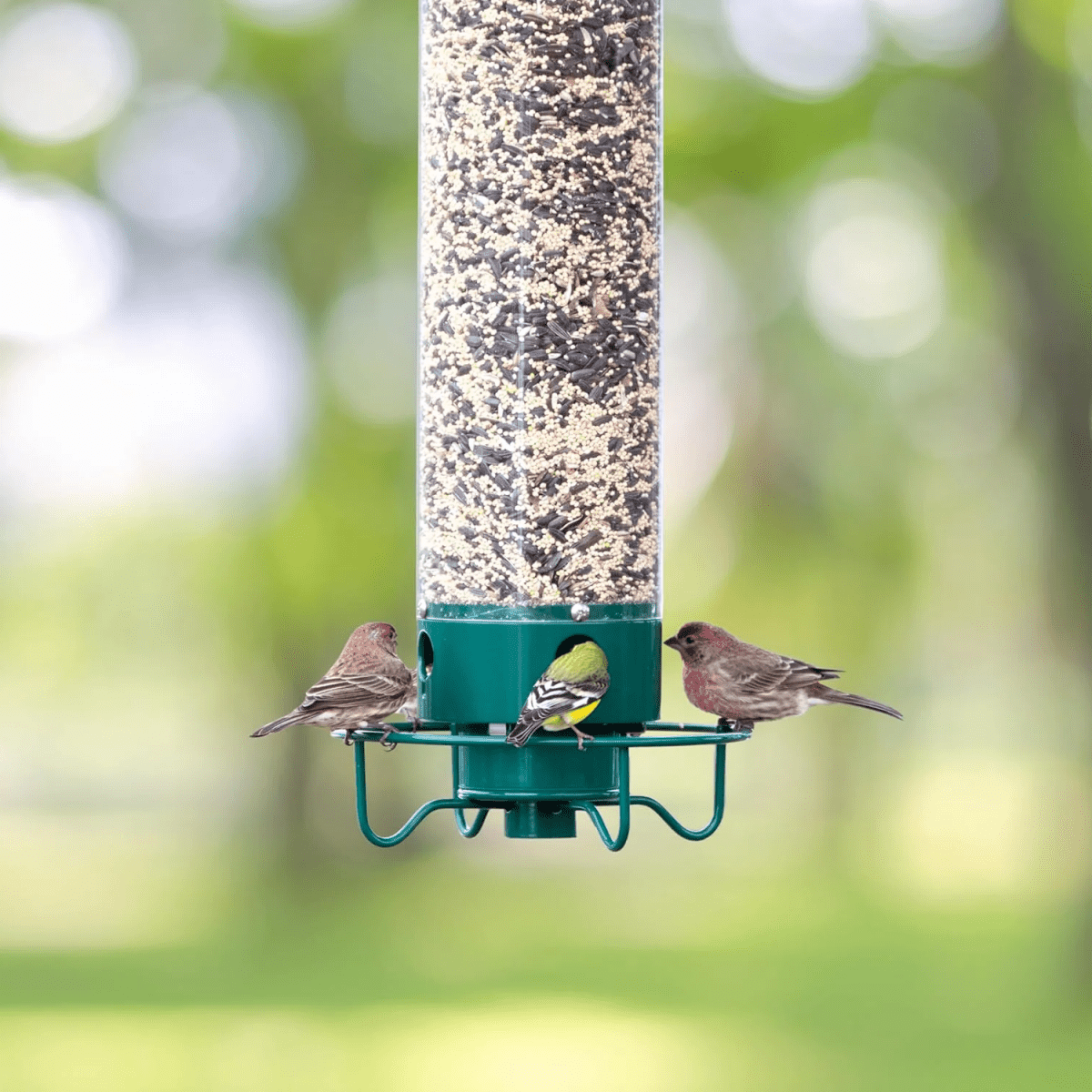 WILDFEED Outdoor Bird Feeder
