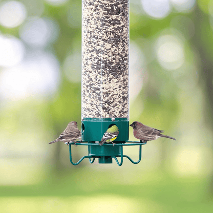 WILDFEED Outdoor Bird Feeder