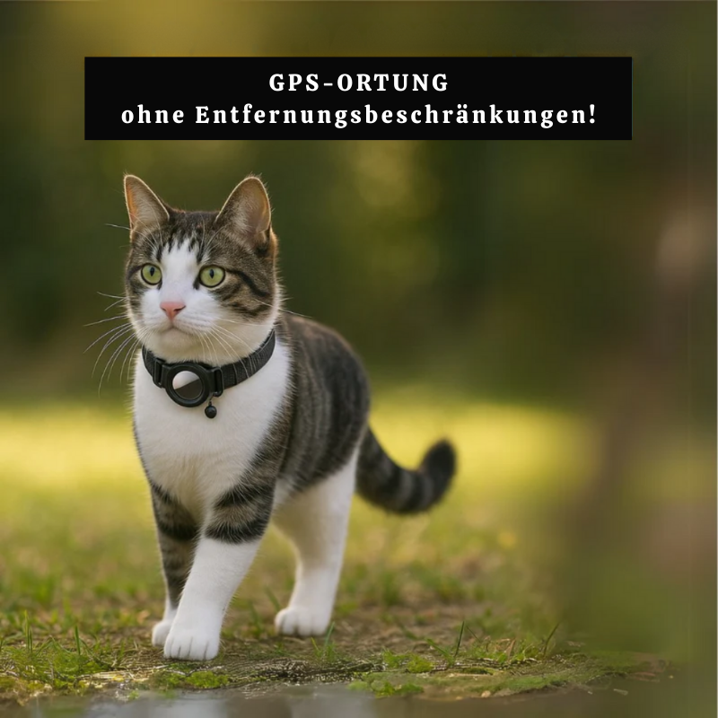 Pet GPS Tracker with No Subscription – photo 5