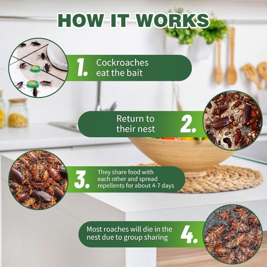 Roach Bait Stations, Enclosed Roach Bait Discs for Indoor Use, Slow-Acting Formula, No Sprays