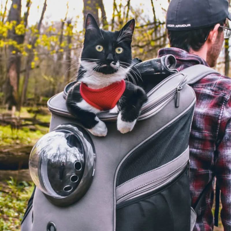 PANORIX Foldable Cat Travel Bag