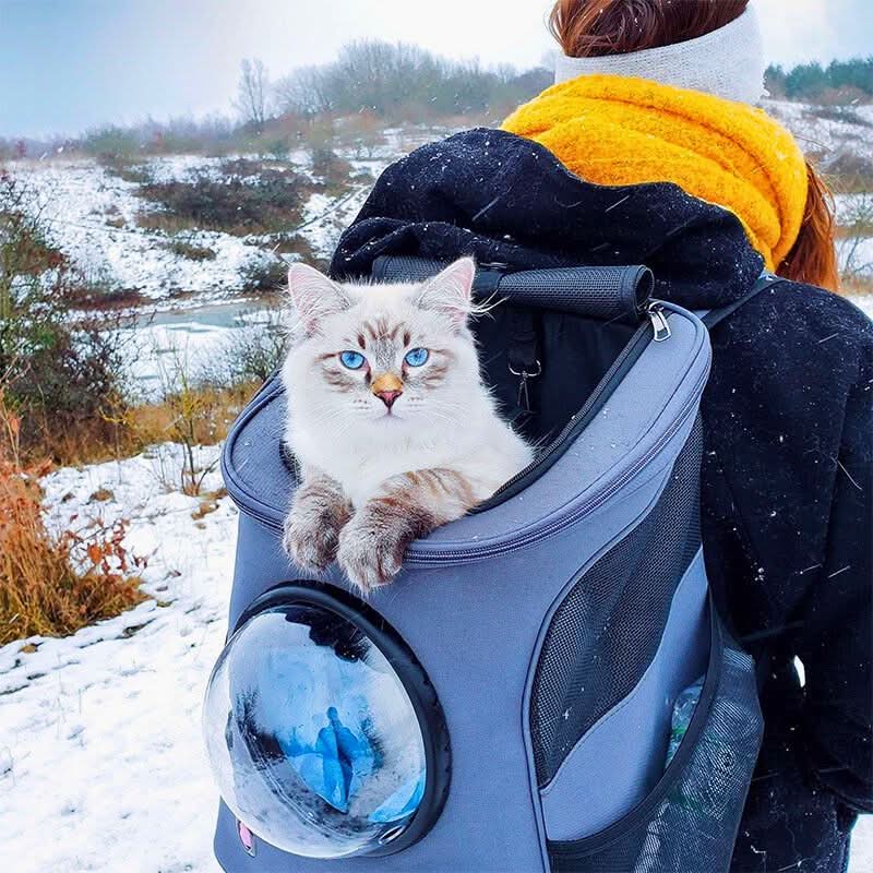 PANORIX Foldable Cat Travel Bag