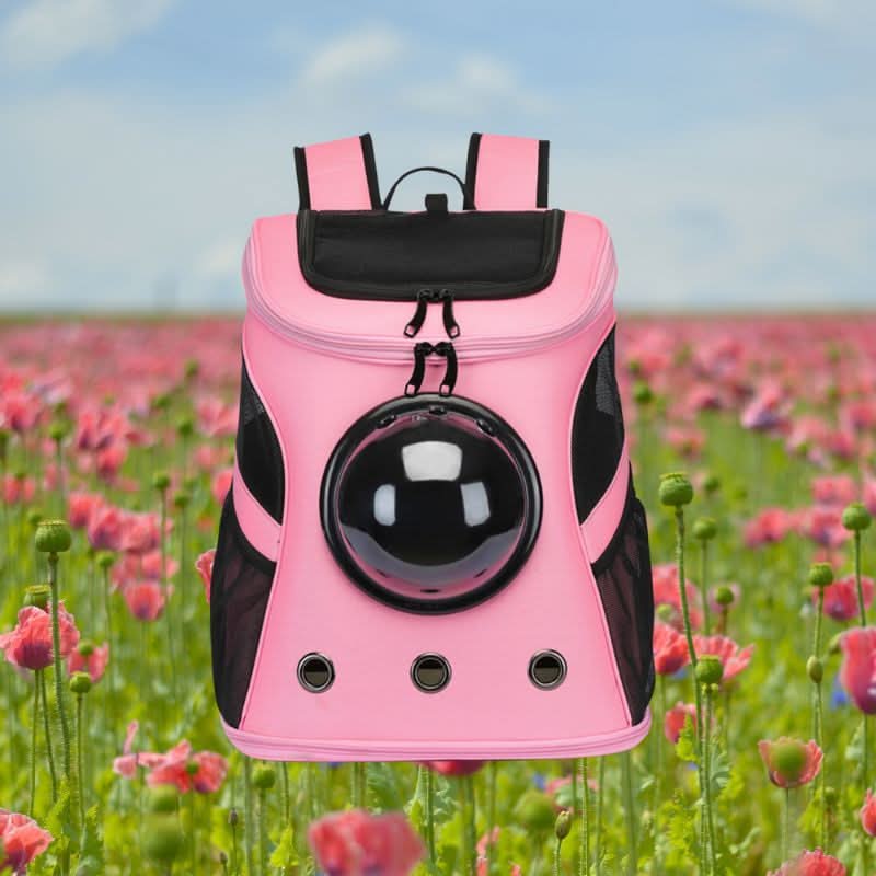 PANORIX Foldable Cat Travel Bag lifestyle image 2