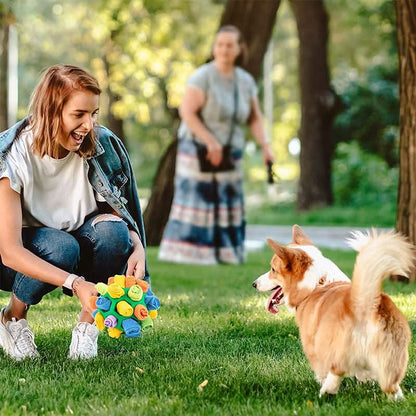 PAWZZLE MAT Interactive Sniffing Toy
