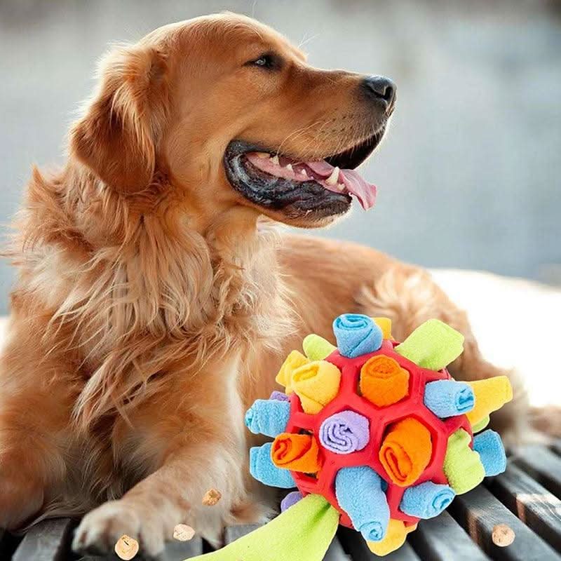 PAWZZLE MAT Interactive Sniffing Toy