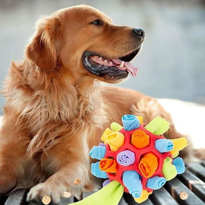 PAWZZLE MAT Interactive Sniffing Toy