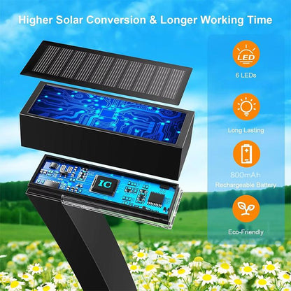 Solar Pathway Lights, 4-Pack, Warm White LED, IP65